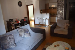 Apartman Aleksic